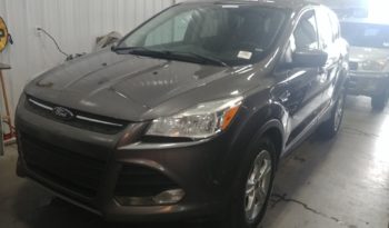 2014 Ford Escape SE 4WD 4D SUV 1.6  1FMCU9GX2EUA06824 full