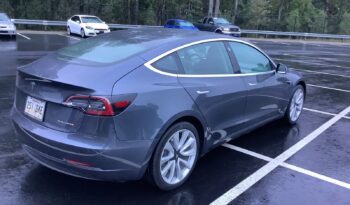 2019 Tesla Model 3 Long Range AWD 5YJ3E1EB0KF481337 full