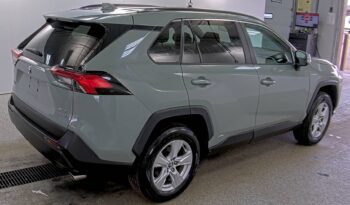 2020 Toyota RAV4 Hybrid XLE AWD 4T3RWRFV9LU001497 full