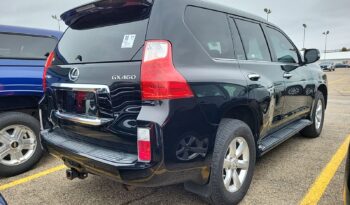 2010 Lexus GX 460 4WD JTJBM7FX6A5016764 full